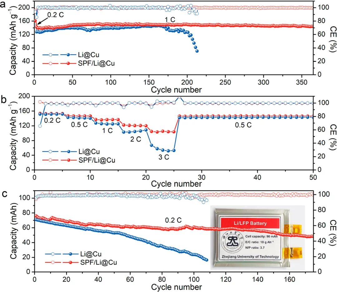 浙工大陶新永Nano Letters：穩(wěn)定鋰金屬電池的基于大豆蛋白纖維的人工SEI