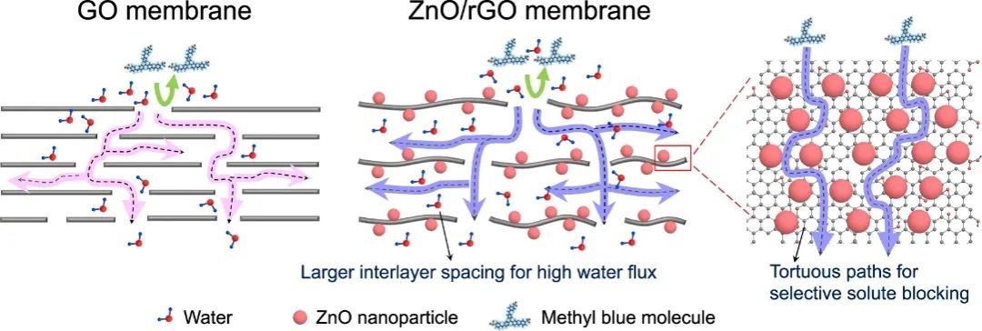 龍東輝&牛波Nature子刊：選擇性98%、通用策略！rGO基納米復(fù)合材料助力納濾膜