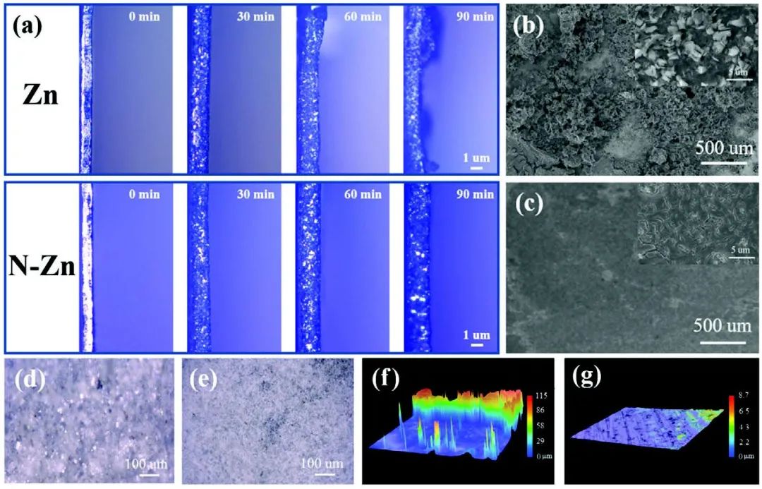 江南大學(xué)付少海等Adv. Sci.：等離子體表面處理獲得無(wú)枝晶鋅負(fù)極