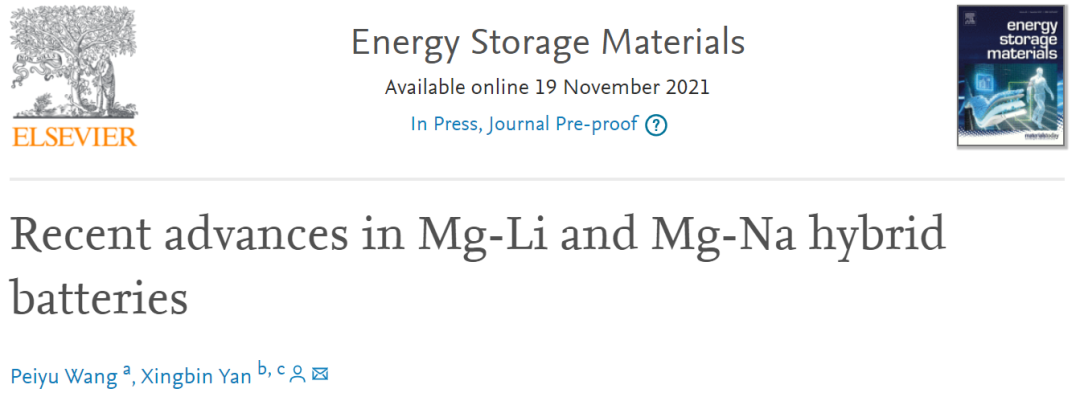 閻興斌/王培煜EnSM: Mg-Li和Mg-Na混合電池的最新進展