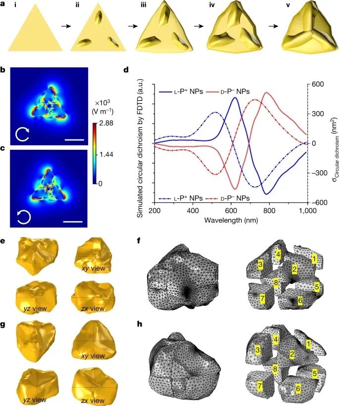 歷史性突破！江南大學(xué)最新Nature！