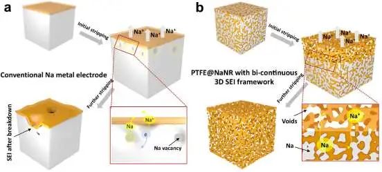 劉利峰Nano Energy：非塌陷三維SEI助力快充鈉金屬電池