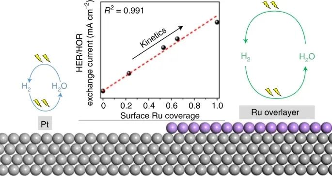 邵敏華教授Nature Catalysis：Ru-Pt催化HOR/HER的新機(jī)制
