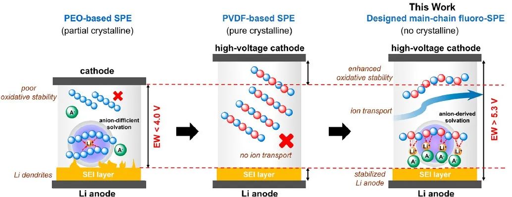林欣蓉/陳茂ACS Energy Lett.：主鏈氟化固態(tài)聚合物電解質(zhì)同時穩(wěn)定鋰負(fù)極和高壓正極