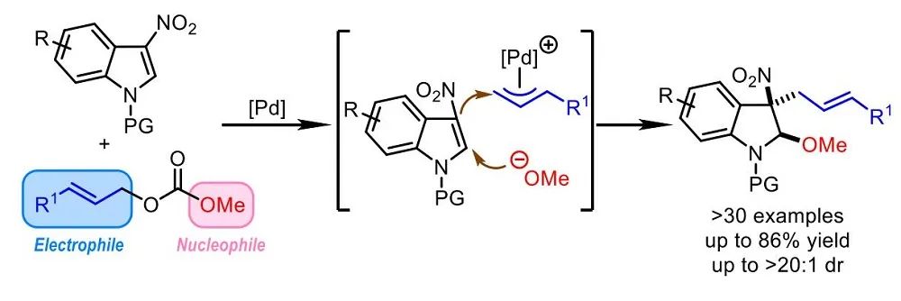 游書力Angew.：Pd催化3-硝基吲哚與碳酸烯丙酯的脫芳甲氧基烯丙基化反應(yīng)