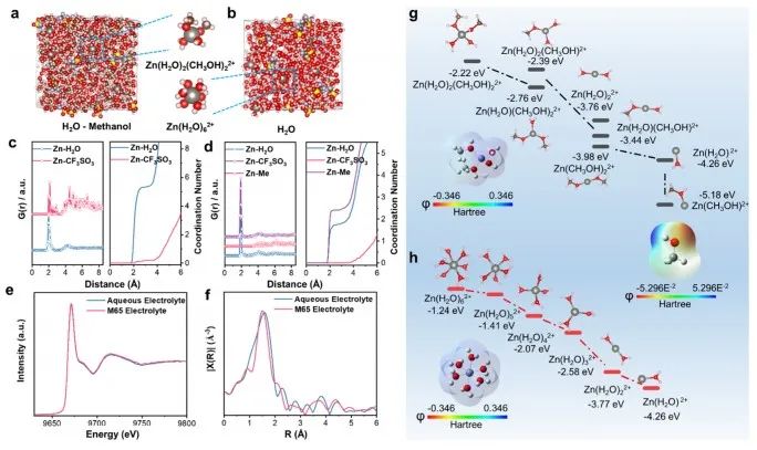 JACS：“鋅”策略！犧牲溶劑化鞘改變溶劑化結構助力水系鋅離子電池實用化