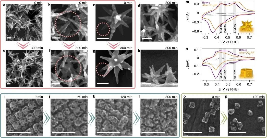 最新Nature Catalysis：探究電催化劑的結(jié)構(gòu)轉(zhuǎn)變