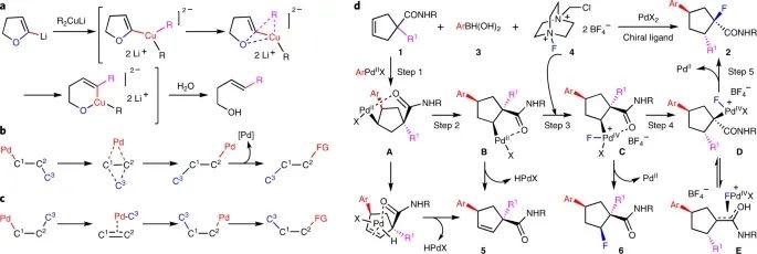 Nature Chemistry：傳統(tǒng)就是用來(lái)打破的！基于Pd的異向重排