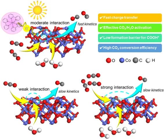 8篇催化頂刊集錦：AFM、Nano Lett.、ACS Catal.、Chem. Eng. J.等成果