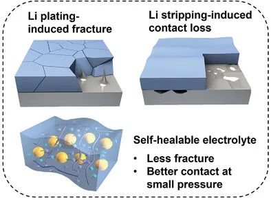 Arumugam Manthiram教授AFM: 用于長壽命、低鋰過量鋰金屬電池的自修復(fù)復(fù)合電解質(zhì)