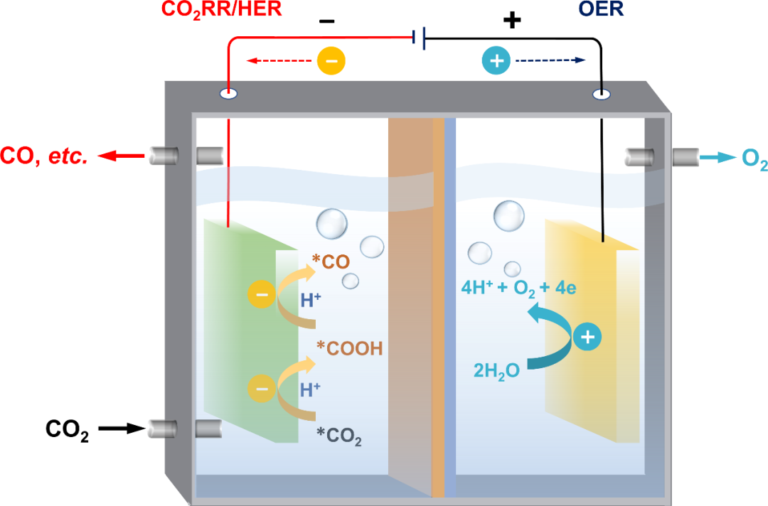 深度解讀||單原子過渡金屬氮碳（M-N-Cs）催化劑：高效電催化CO2還原