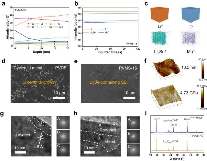 浙大陸盈盈，最新Nature子刊！