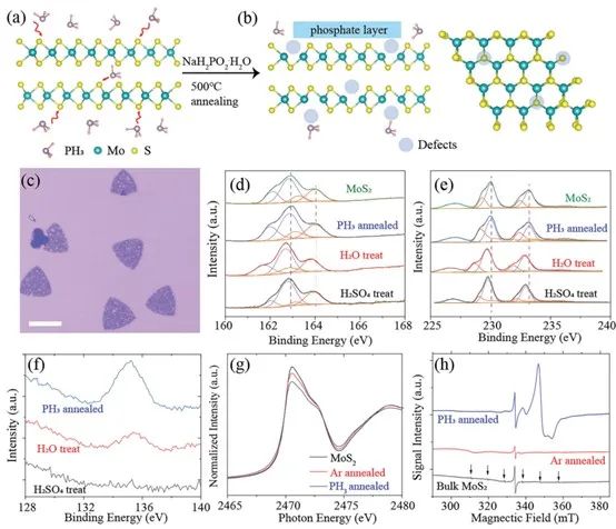 催化頂刊集錦：AM、Angew.、AFM、ACB、Nano Energy、ACS Nano/CEJ等成果！