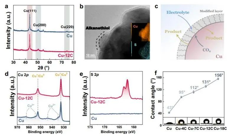 催化頂刊集錦：Nature子刊、JACS、Angew.、AFM、Nano Letters、ACS Catal.等成果