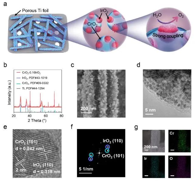 清華/物構(gòu)所EES：CrO2和IrO2之間強(qiáng)耦合，助力CrO2-0.16IrO2實(shí)現(xiàn)高電流密度酸性O(shè)ER