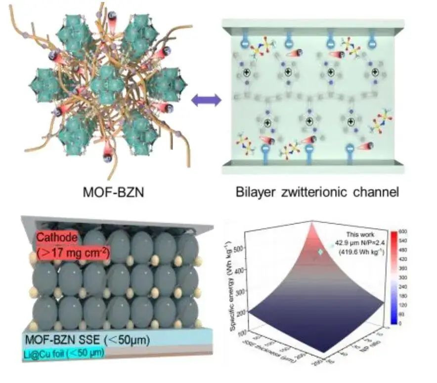 黃少銘教授AM：鋰金屬電池中選擇性全固態(tài)超離子傳導(dǎo)雙層兩性離子金屬有機(jī)框架
