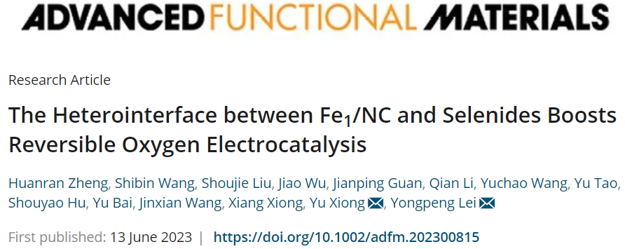 雷永鵬/熊禹AFM：異質(zhì)界面復(fù)合催化劑，助力鋅-空氣電池