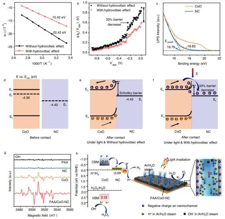 催化頂刊集錦：Nature子刊、JACS、AFM、ACS Catalysis、Nano Energy等