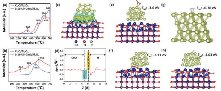 催化頂刊集錦：JACS、AEM、AFM、Adv. Sci.、ACS Catal.、ACS Nano、Small等成果