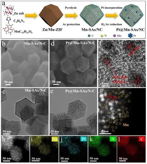 木士春ACS Catalysis：超低載量Pt與單原子MnN4結(jié)合，增強(qiáng)ORR及HER催化性能