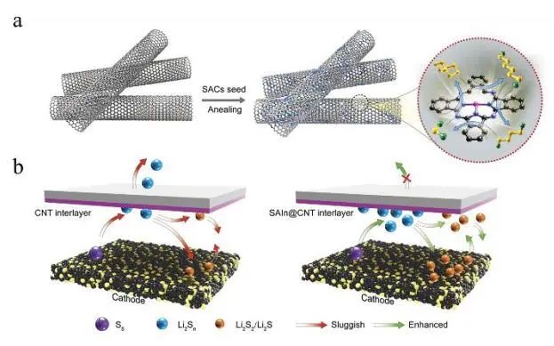 計(jì)算文獻(xiàn)速遞：Nature Catalysis、EES、JACS、Chem、EnSM、Nat. Commun.等！