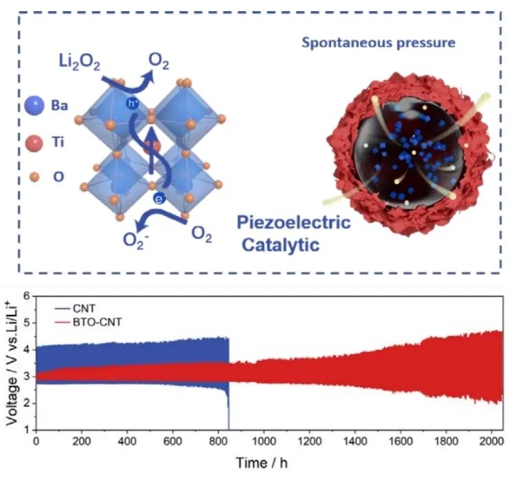 徐吉靜教授團隊Angew.：鈦酸鋇壓電催化劑中的本征應(yīng)力應(yīng)變使鋰氧電池具有低過電位和長壽命