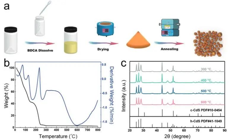 催化頂刊集錦：Nature、JACS、EES、ACS Catal.、ACS Nano、Small等成果精選！