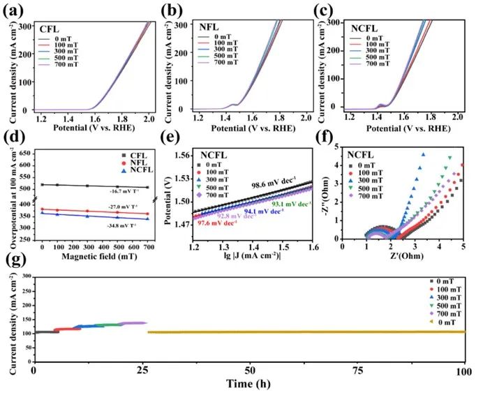 ?北師大/內(nèi)大ACS Catalysis：揭示鐵基層狀雙氫氧化物的自旋磁效應(yīng)