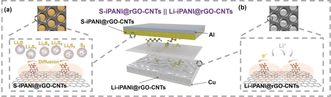 AEM：iPANI@rGO-CNTs助力穩(wěn)定耐用、高倍率的全Li-S電池