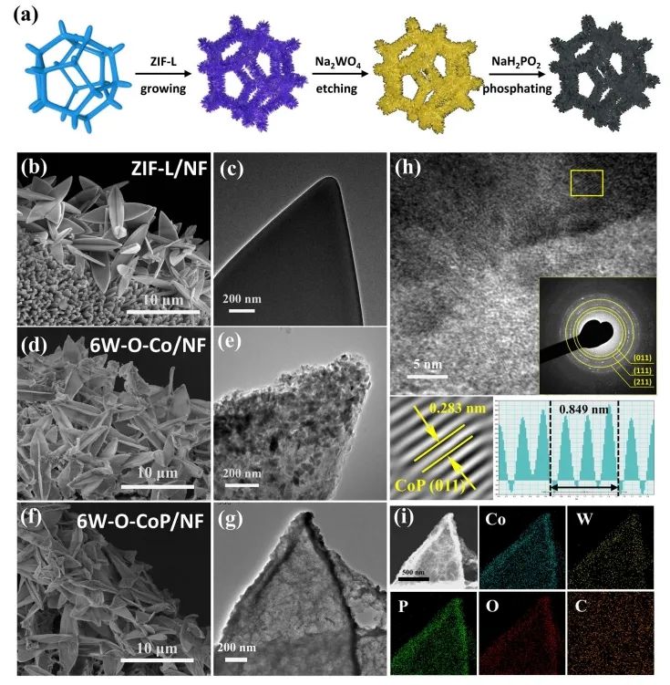 催化頂刊速遞：Nature Catalysis、EES、Nature子刊、Angew、Sci. Adv.、ACS Nano等成果