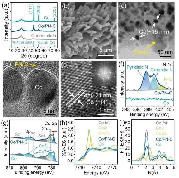 催化頂刊速遞：Nature Catalysis、EES、Nature子刊、Angew、Sci. Adv.、ACS Nano等成果