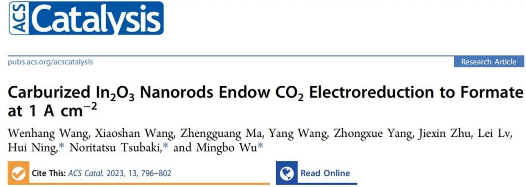 石大/富大?ACS Catal.：用于CO2電化學(xué)還原制甲酸鹽的In2O3-C納米棒