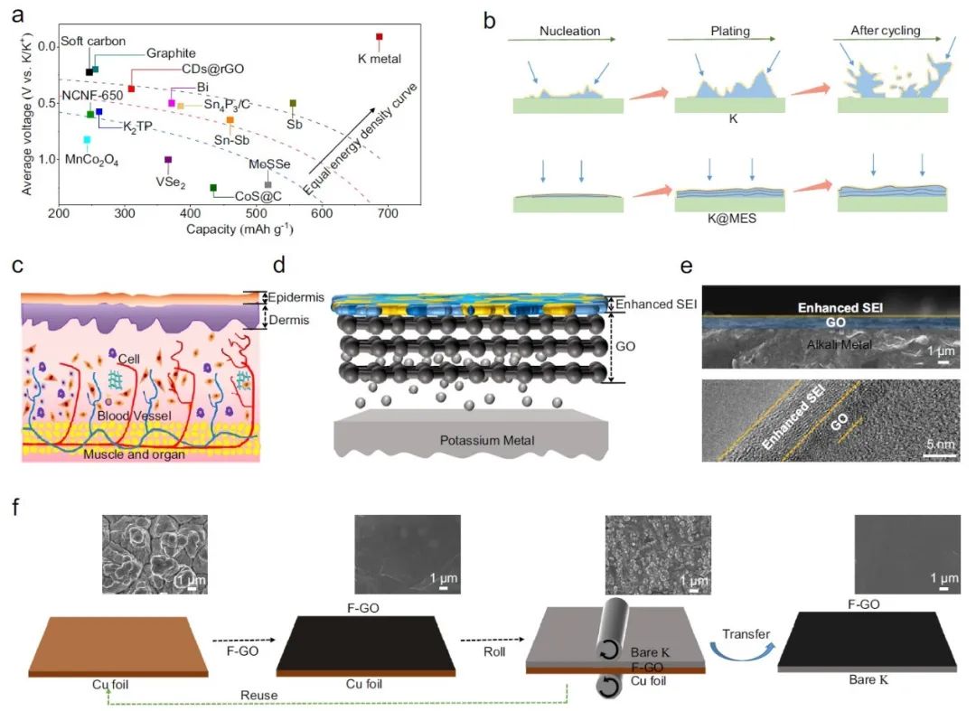 魯兵安/王成新Nature子刊：電極皮膚實(shí)現(xiàn)5000次循環(huán)鉀金屬電池！