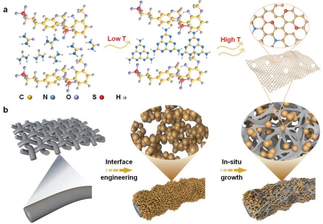 頂刊集錦：Nat. Chem.、AEM、AFM、ACS Catalysis、Small、ACB等計算成果