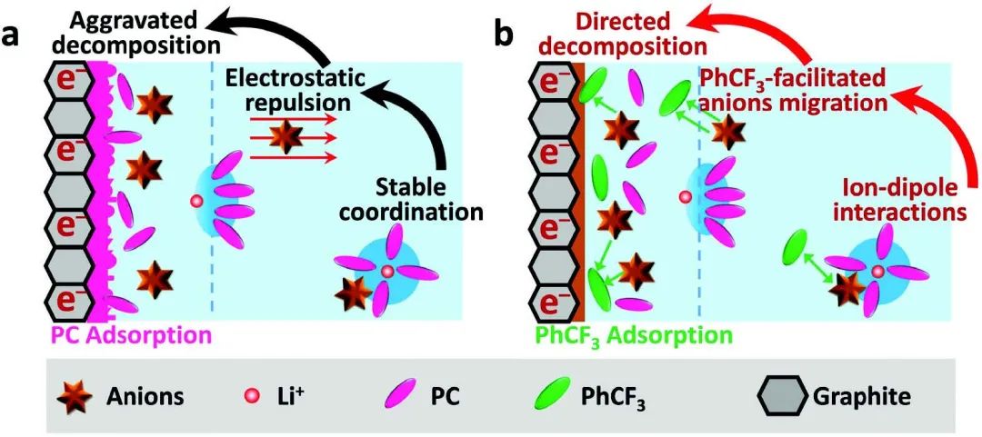 謝佳/曾子琪Adv. Sci.：與石墨軟包電池兼容的中濃度PC電解液