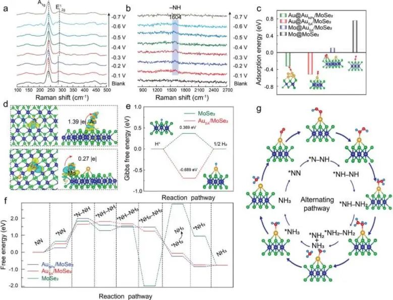 8篇催化頂刊：Angew.、AFM、ACS Catal.、Small、Adv. Sci.等最新成果