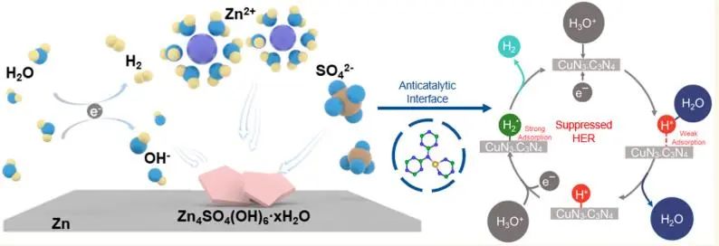 ?喬世璋ACS Nano：通過抗催化界面抑制析氫制備高效水系鋅離子電池