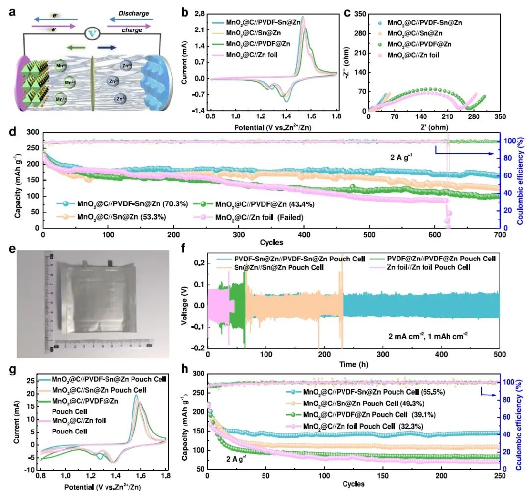 電池頂刊集錦：Nature子刊、Angew、EES、AFM、ACS Energy Lett.、ACS Nano等成果！