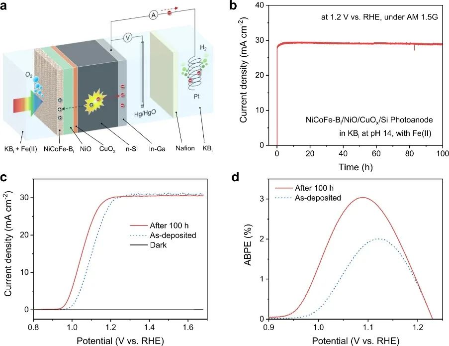 Nature子刊：強堿性條件下電催化和光電化學OER的自修復催化劑