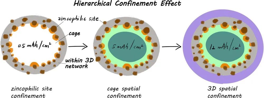 復旦/南大Nano Lett.: 基于親鋅位點+碳籠的分級限域?qū)崿F(xiàn)穩(wěn)定水系鋅電！