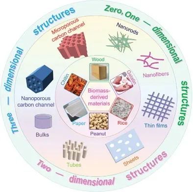 陳志剛/楊艷玲AFM: 用于高性能電池的生物質(zhì)碳材料結(jié)構(gòu)-性能關(guān)系