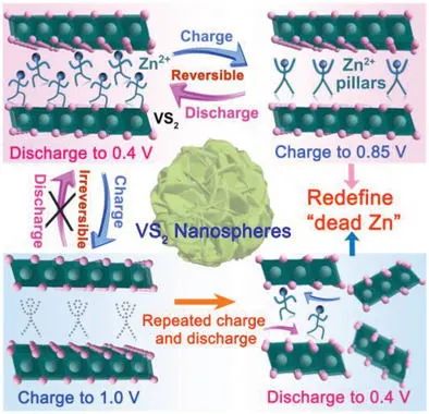 焦麗芳/劉永暢AEM: 顛覆！“死Zn2+”增強(qiáng)VS2納米結(jié)構(gòu)實(shí)現(xiàn)高性能儲鋅！