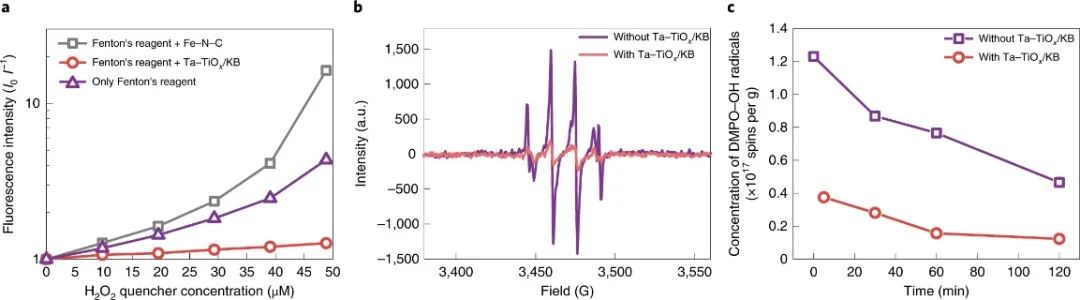 胡良兵等人，最新Nature Energy！