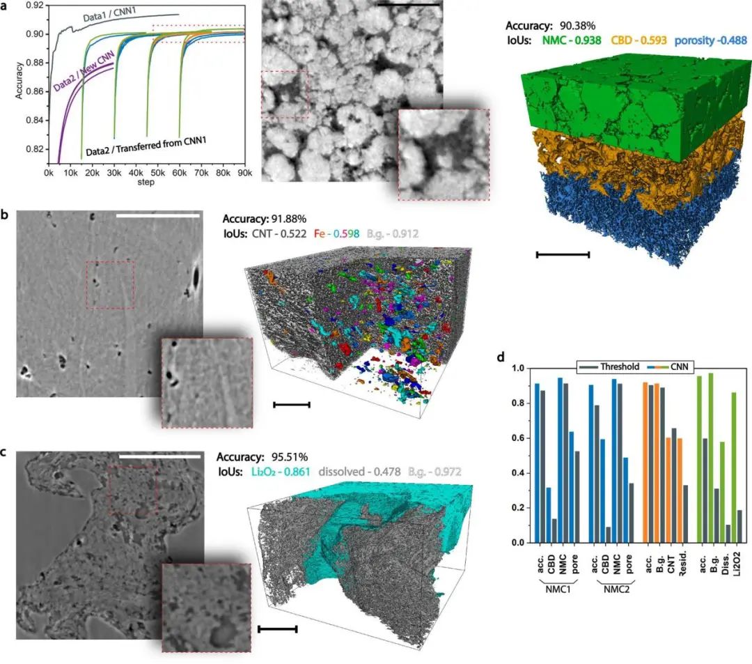 npj Comput. Mater.: 人工神經(jīng)網(wǎng)絡(luò)多相分割電池電極納米CT圖像