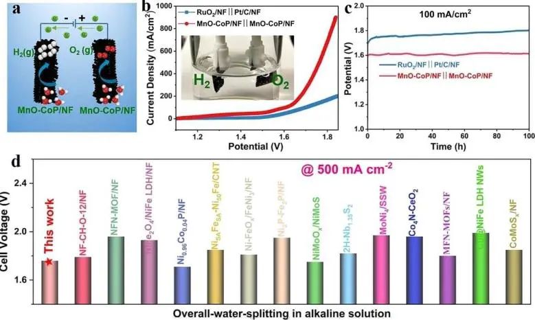 催化頂刊集錦：Angew、JACS、Nature子刊、AFM、ACS Catal.、Adv. Sci.等成果