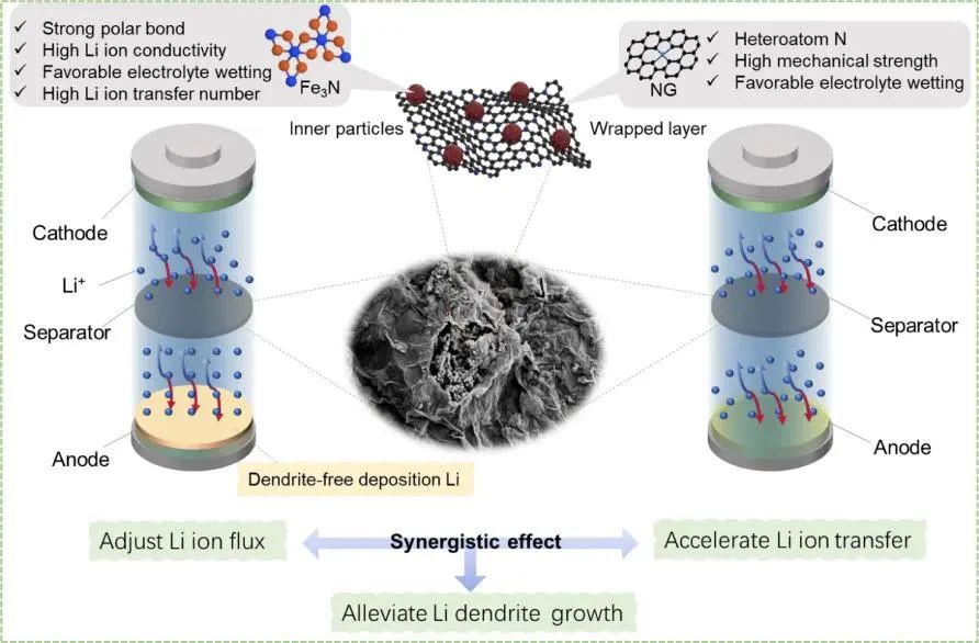 陳遠(yuǎn)富/賀加瑞EnSM: Fe3N@N摻雜石墨烯作為穩(wěn)定鋰金屬電池的親鋰中間層