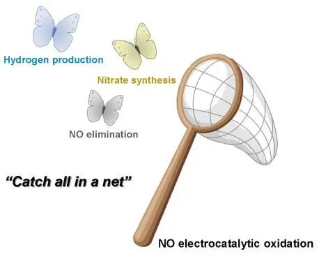 王雙印/陳晨Angew. ：FE近100%！碳布上電催化NO氧化與HER耦合制硝酸鹽