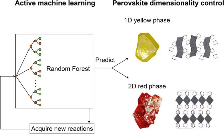 勞倫斯伯克利國家實(shí)驗室CM: 主動學(xué)習(xí)引導(dǎo)金屬鹵化物鈣鈦礦結(jié)晶的維度控制
