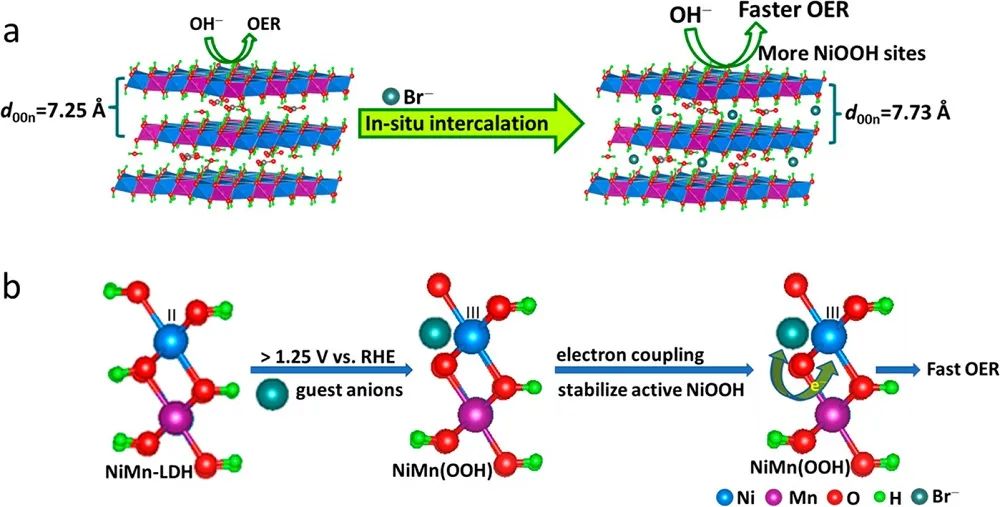 ACS Nano：原位電化學活化層狀雙氫氧化物OER的活性相及催化機理