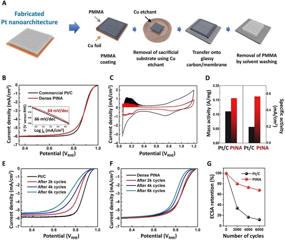 Science Advances：結(jié)構(gòu)調(diào)制的3D電催化劑用于高性能燃料電池電極